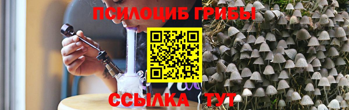 Псилоцибиновые грибы Psilocybine cubensis Хабаровск
